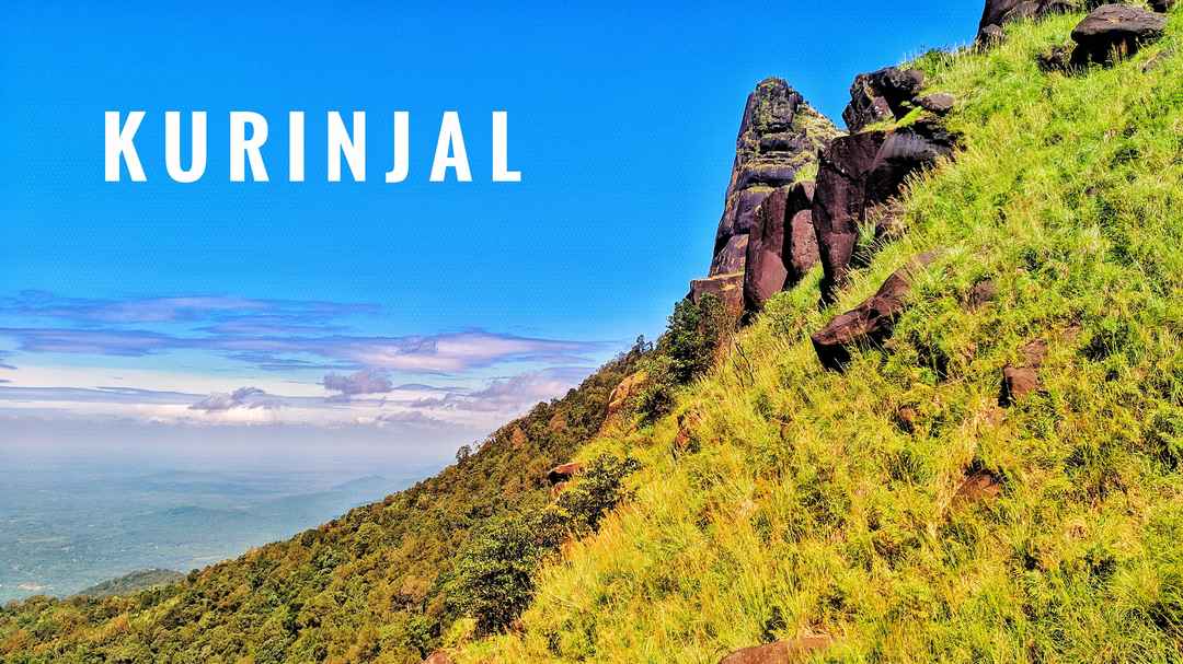 Kurinjal Trek